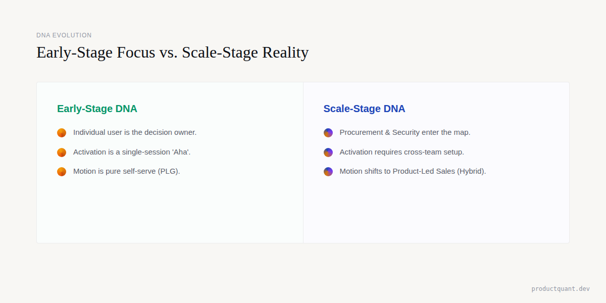 DNA Evolution: Early-Stage Focus vs Scale-Stage Reality
